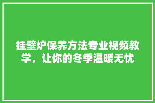 挂壁炉保养方法专业视频教学，让你的冬季温暖无忧 家电维修