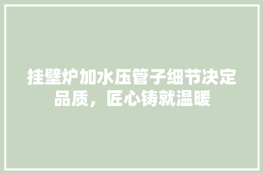 挂壁炉加水压管子细节决定品质，匠心铸就温暖 墙体维修