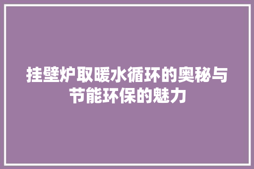 挂壁炉取暖水循环的奥秘与节能环保的魅力 厨房维修