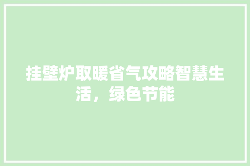 挂壁炉取暖省气攻略智慧生活，绿色节能 墙体维修