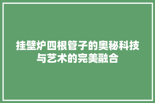 挂壁炉四根管子的奥秘科技与艺术的完美融合 家电维修