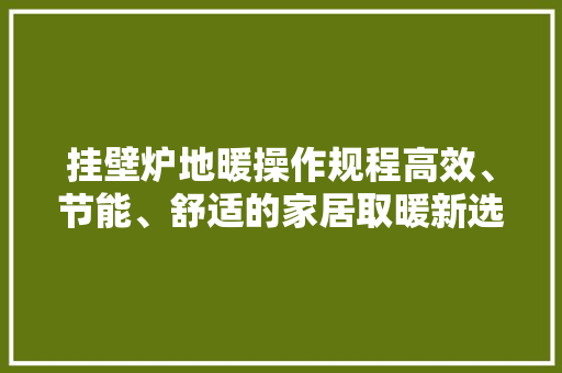 挂壁炉地暖操作规程高效、节能、舒适的家居取暖新选择 综合便民