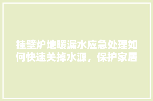 挂壁炉地暖漏水应急处理如何快速关掉水源，保护家居安全 汽车维修