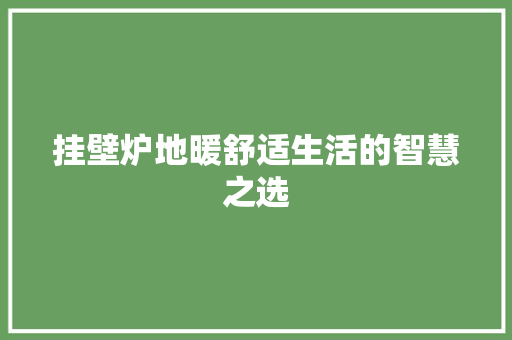 挂壁炉地暖舒适生活的智慧之选 墙体维修