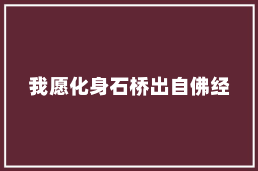 挂壁炉开关面板家居美学的点睛之笔 家电维修