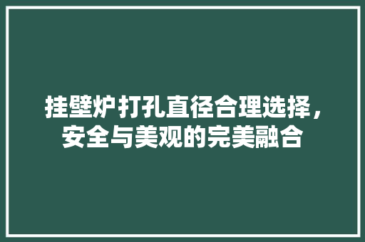 挂壁炉打孔直径合理选择，安全与美观的完美融合 厨房维修