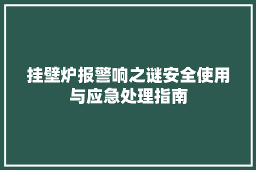 挂壁炉报警响之谜安全使用与应急处理指南 墙体维修