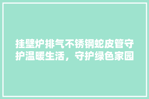 挂壁炉排气不锈钢蛇皮管守护温暖生活，守护绿色家园 汽车维修