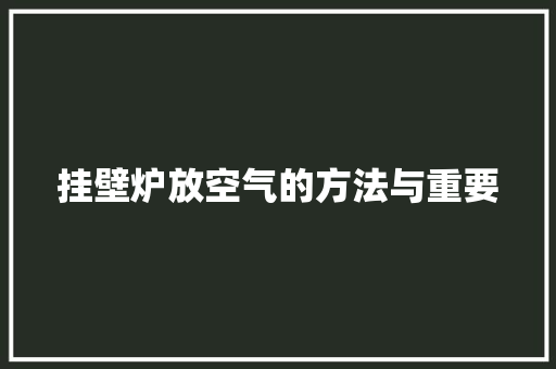 挂壁炉放空气的方法与重要 厨房维修