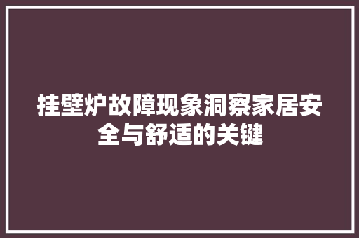挂壁炉故障现象洞察家居安全与舒适的关键 综合便民