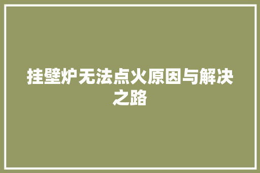 挂壁炉无法点火原因与解决之路 家电维修