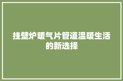 挂壁炉暖气片管道温暖生活的新选择 厨房维修