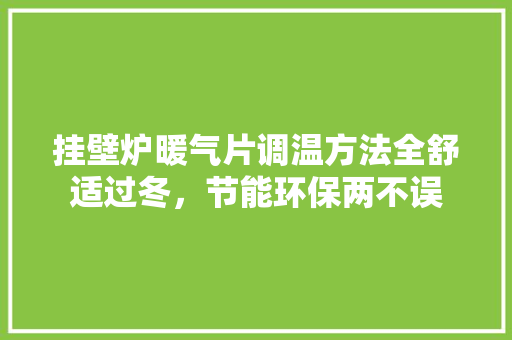 挂壁炉暖气片调温方法全舒适过冬，节能环保两不误 综合便民