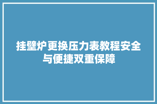 挂壁炉更换压力表教程安全与便捷双重保障 厨房维修