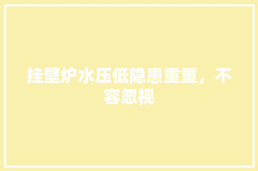 挂壁炉水压低隐患重重，不容忽视 厨房维修