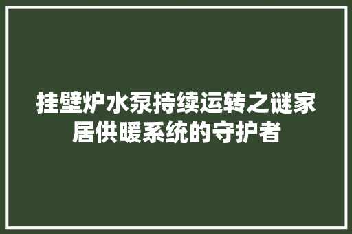 挂壁炉水泵持续运转之谜家居供暖系统的守护者 综合便民