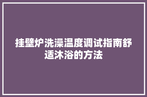 挂壁炉洗澡温度调试指南舒适沐浴的方法 墙体维修