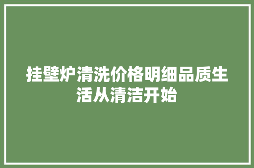 挂壁炉清洗价格明细品质生活从清洁开始 厨房维修