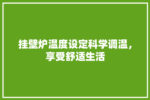 挂壁炉温度设定科学调温，享受舒适生活 综合便民