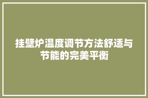 挂壁炉温度调节方法舒适与节能的完美平衡 综合便民