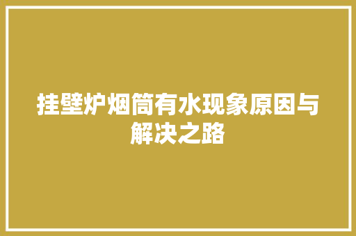 挂壁炉烟筒有水现象原因与解决之路 家电维修