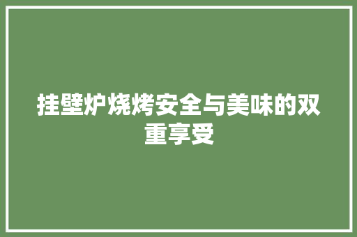 挂壁炉烧烤安全与美味的双重享受 家电维修