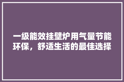 一级能效挂壁炉用气量节能环保，舒适生活的最佳选择