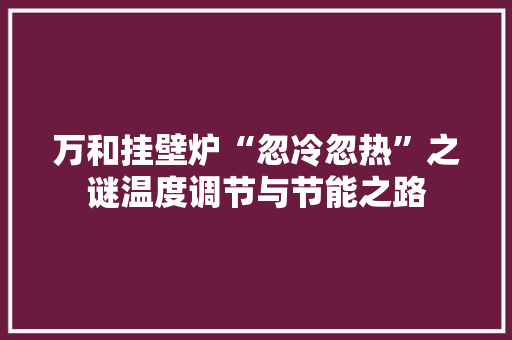 万和挂壁炉“忽冷忽热”之谜温度调节与节能之路
