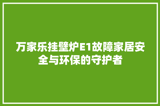 万家乐挂壁炉E1故障家居安全与环保的守护者