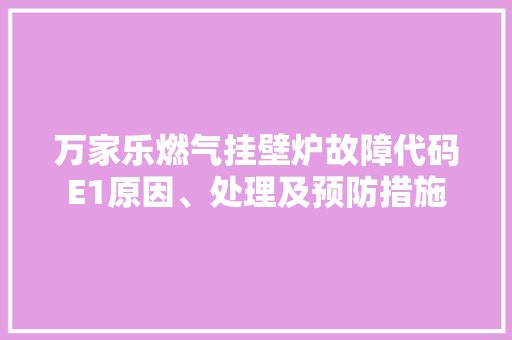 万家乐燃气挂壁炉故障代码E1原因、处理及预防措施