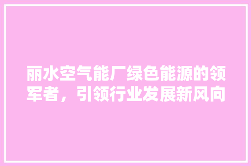 丽水空气能厂绿色能源的领军者，引领行业发展新风向