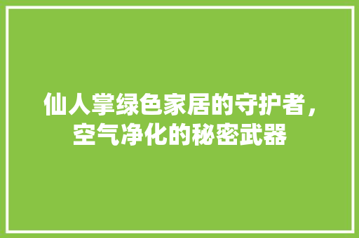 仙人掌绿色家居的守护者，空气净化的秘密武器