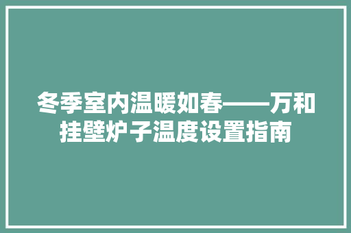 冬季室内温暖如春——万和挂壁炉子温度设置指南