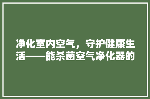 净化室内空气，守护健康生活——能杀菌空气净化器的神奇功效 综合便民