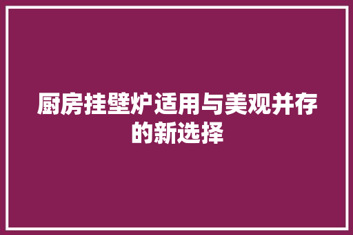厨房挂壁炉适用与美观并存的新选择 汽车维修