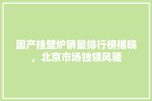国产挂壁炉销量排行榜揭晓，北京市场独领风骚