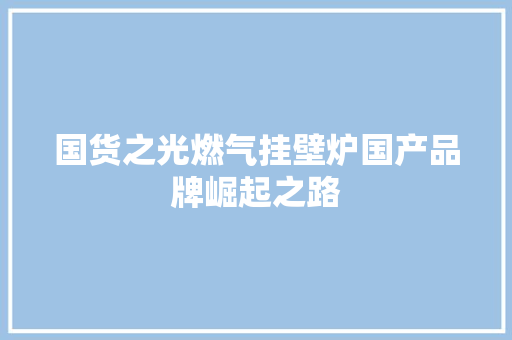 国货之光燃气挂壁炉国产品牌崛起之路