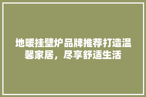 地暖挂壁炉品牌推荐打造温馨家居，尽享舒适生活
