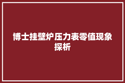 博士挂壁炉压力表零值现象探析 厨房维修
