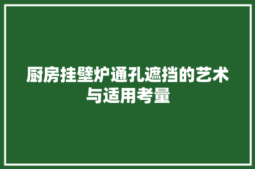 厨房挂壁炉通孔遮挡的艺术与适用考量 综合便民