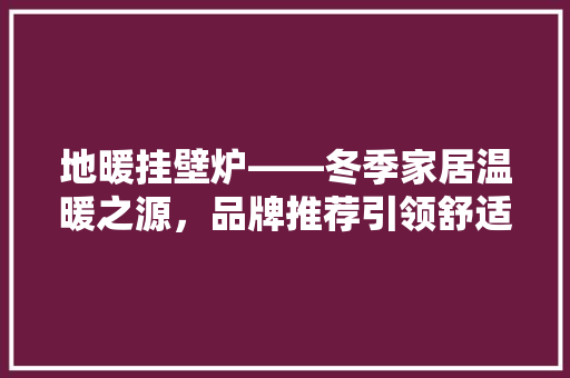 地暖挂壁炉——冬季家居温暖之源，品牌推荐引领舒适生活 厨房维修