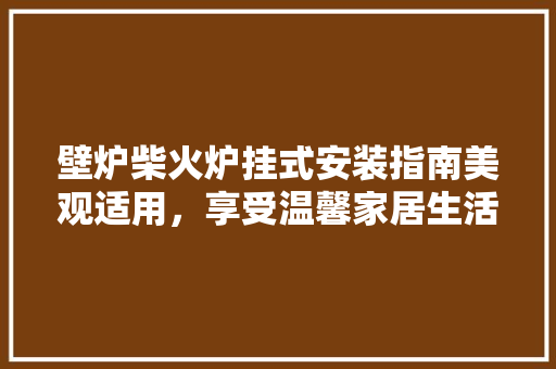 壁炉柴火炉挂式安装指南美观适用，享受温馨家居生活 汽车维修