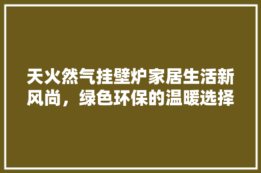 天火然气挂壁炉家居生活新风尚，绿色环保的温暖选择 综合便民