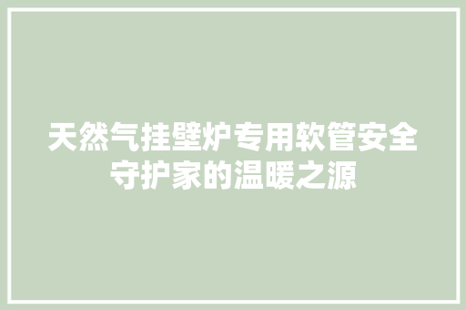 天然气挂壁炉专用软管安全守护家的温暖之源 家电维修