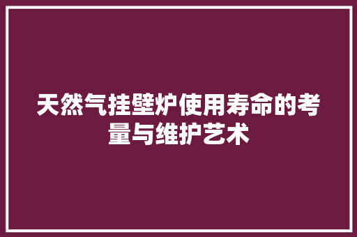 天然气挂壁炉使用寿命的考量与维护艺术 汽车维修