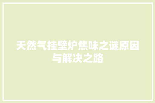 天然气挂壁炉焦味之谜原因与解决之路 家电维修