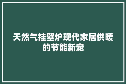 天然气挂壁炉现代家居供暖的节能新宠 综合便民
