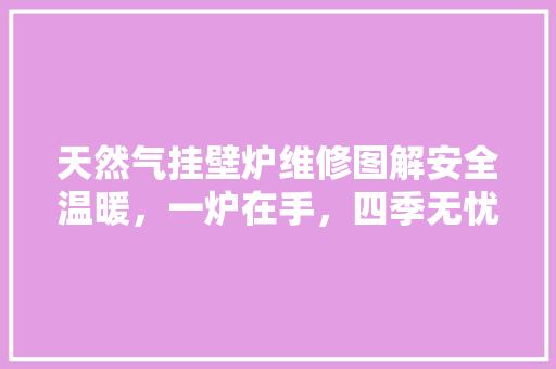 天然气挂壁炉维修图解安全温暖，一炉在手，四季无忧 综合便民