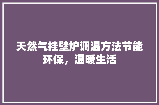 天然气挂壁炉调温方法节能环保，温暖生活 家电维修