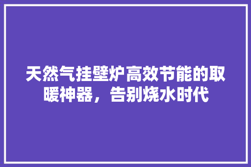 天然气挂壁炉高效节能的取暖神器，告别烧水时代 综合便民